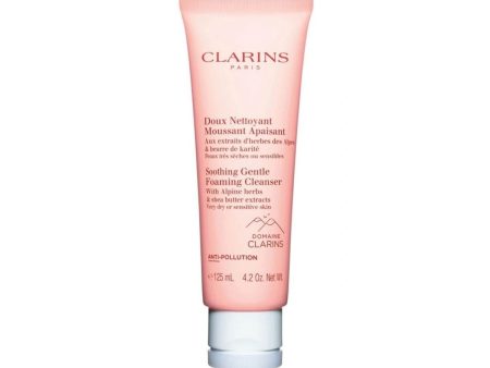 Soothing Gentle Foaming Cleanser Online