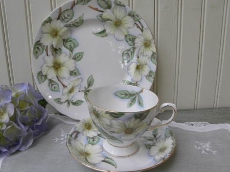 Vintage Tuscan Dogwood Teacup and Luncheon Plate Set Supply