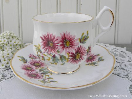 Vintage Royal Dover September Pink Daisies Teacup and Saucer Supply