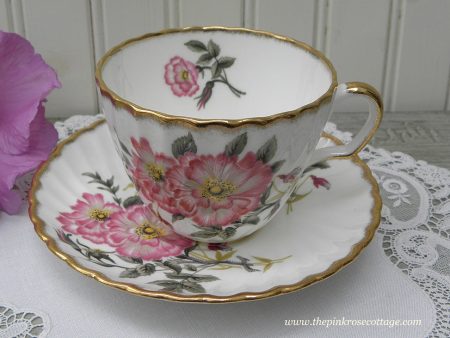 Vintage Adderley Pink Wild Roses Teacup and Saucer For Cheap