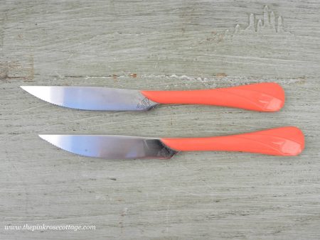 Fiesta Set of Permission Knives Swirl 2 Piece Fiestaware For Sale